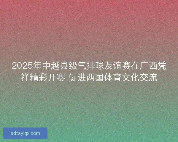 2025年中越县级气排球友谊赛在广西凭祥精彩开赛 促进两国体育文化交流