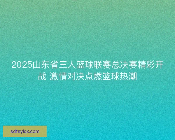 2025山东省三人篮球联赛总决赛精彩开战 激情对决点燃篮球热潮 2025山东省三人篮球联赛总决赛精彩开战 激情对决点燃篮球热潮