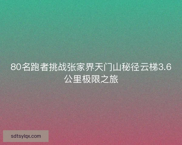 80名跑者挑战张家界天门山秘径云梯3.6公里极限之旅