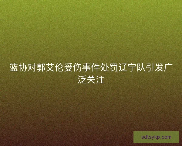 篮协对郭艾伦受伤事件处罚辽宁队引发广泛关注